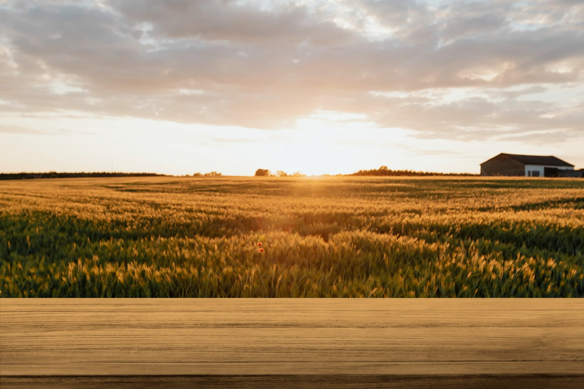 Case Study – Agriculture (Prosumer)