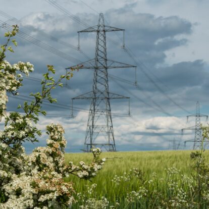 Shutterstock 2291103729