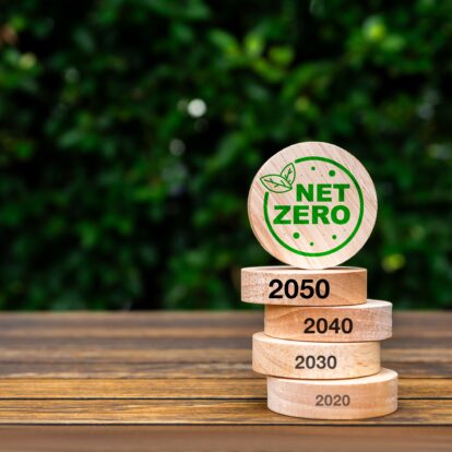 Shutterstock 2473765601